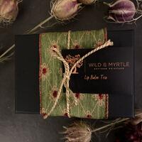 Trio of Beeswax Lip Balms