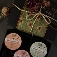 Trio of Beeswax Lip Balms