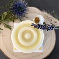 Conditioner Bar for Dry Hair - Lemon Myrtle with Organic Aloe Vera
